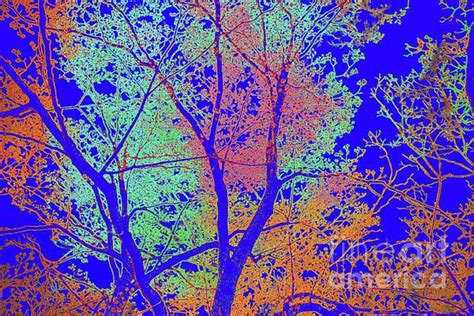 Pin By Chris Taggart Art On Trees Tree Branches Digital Artwork Artwork