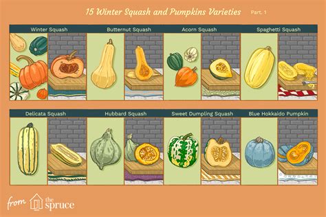 15 Winter Squash And Pumpkins Varieties