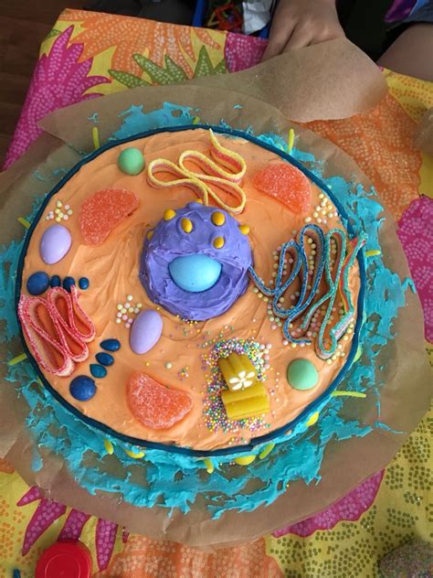 Animal Cell Project Animal Cell Edible Cell Project Cells Project