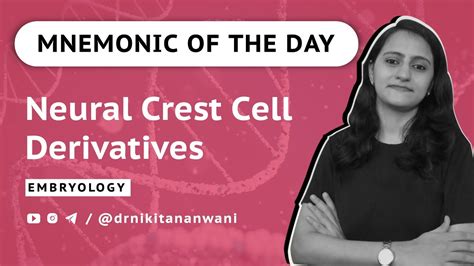 Mnemonic Neural Crest Cell Derivatives Embryology Neetpg Usmle
