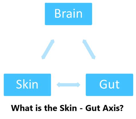 Is There A Connection Between Skin Rashes And Our Gut