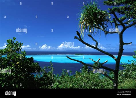 France French Polynesia Raiatea Island Stock Photo Alamy