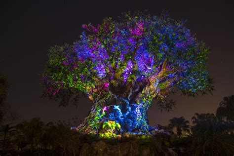 A bookmark made with a leather cord, jade beads, sterling silver tree of life pendant, and green tassel. VIDEO - The Tree of Life Awakens at Disney's Animal Kingdom