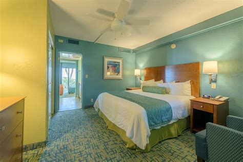 Pet Friendly Hotels Florida Gulf Coast Pets Animals Us