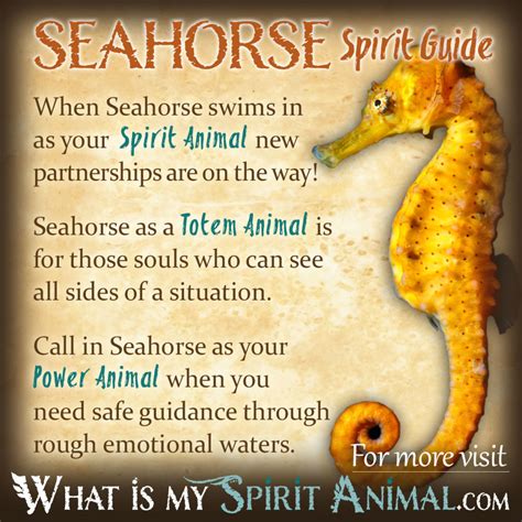 Seahorse Symbolism And Meaning Spirit Totem And Power Animal