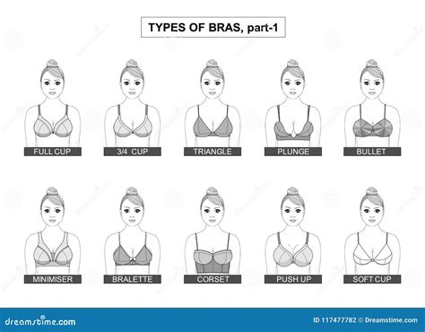 Set Of Types Of Female Bras Stock Vector Illustration Of Flat
