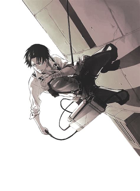 Levi X Reader A Mission Worth Dying For Chapter 55 Wattpad