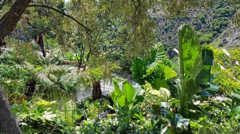 Jardin Exotique d'Èze | Promenade botanique