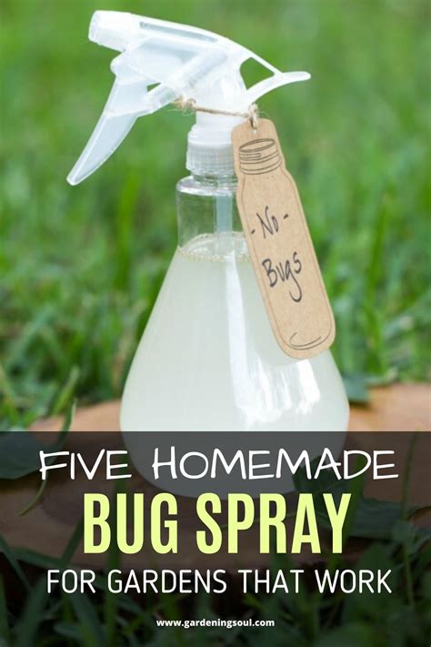 Five Homemade Bug Spray For Gardens That Work