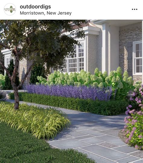 30 Front House Hydrangea Landscape Design