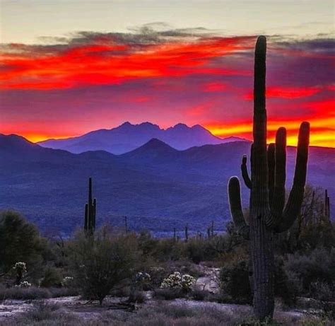 Arizona Night Arizona Landscape Landscape Art Beautiful Sunset