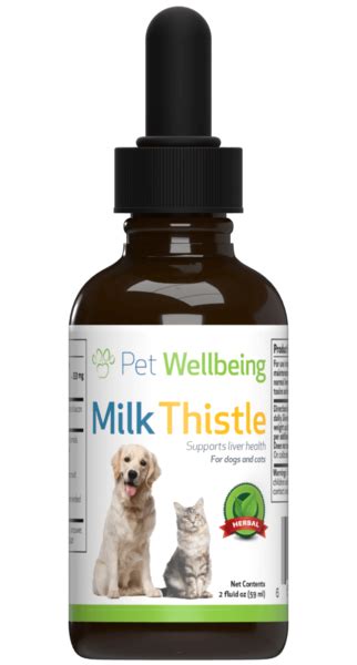 Some nutrients are more important than others for dogs with liver disease, and you should keep you may also need to give your dog supplements. Milk Thistle for Dog Liver Disease - petwellbeing.ca