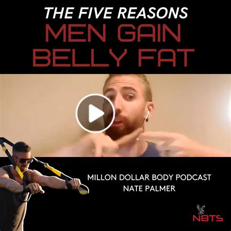 The Five Reasons Men Gain Belly Fat N8 Training Systems