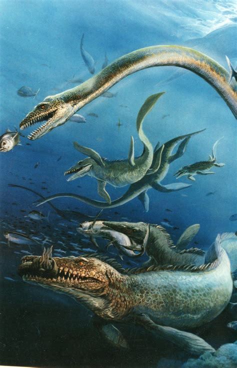 Cretaceous Sea By Unknown Artist Prehistoric Dinosaurs Prehistoric