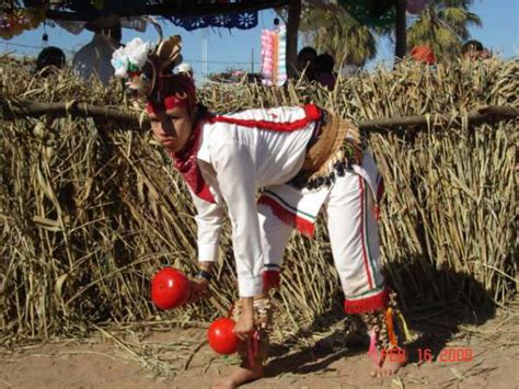 Sonora Tradiciones Y Cultura Por Tomoki Ogino