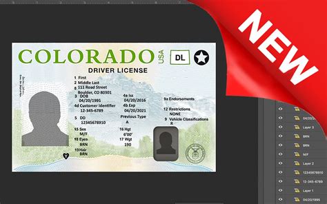 Purchase Driver License Colorado Usa Download Driver