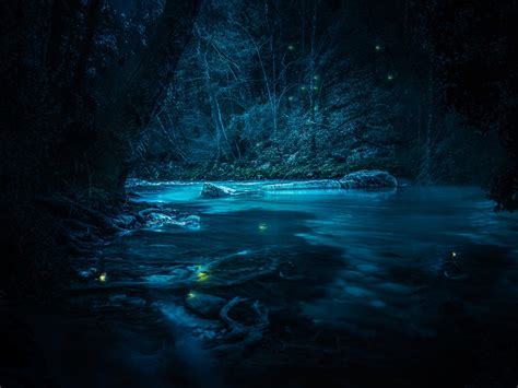 Forest 4k Wallpaper River Night Dark Magical Crescent Moon Blue