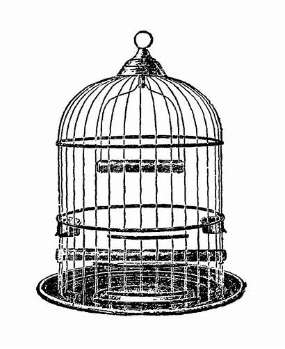 Cage Bird Birdcage Dome Digital Clip Illustration