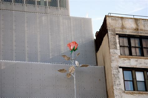 Nyc ♥ Nyc 30 Foot Rose Sculpture Adorns The New Museum Facade