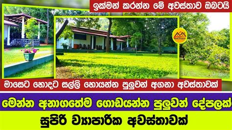 Valuble Property For Sale Sri Lanka Land Sale In Sri Lanka