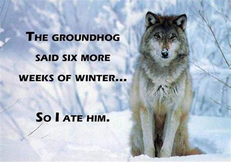 6moreweeksofwinter The Memes You Need To See Wolf Quotes Wolf