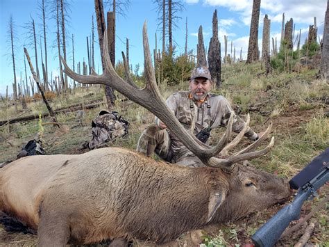 Nm Elk Kentucky Hunting