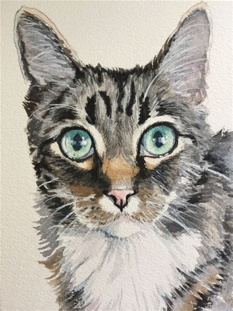 Gray Tabby Cat Watercolor Painting By Sherry Daerr Watercolor Cat