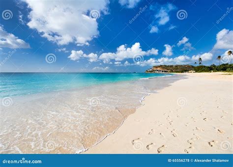 Idyllic Beach At Caribbean Stock Photo Image Of Destination 65556278