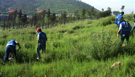 Voluntariado Trabajo En Oscs Mx