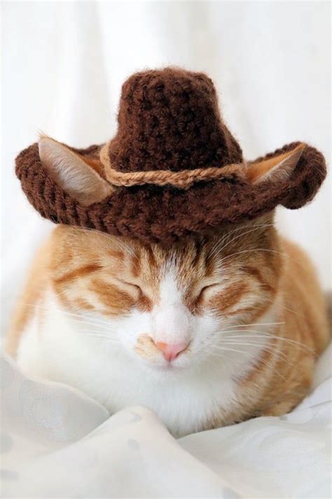 Cowboy Hat For Cats Bandana Add On Option Cowboy Halloween Etsy