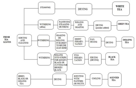 Flowchart For Tea Processing Source Anonymous 2021 10 Download