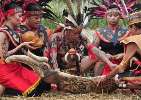 Mengenal Suku Dayak Punan Kalimantan