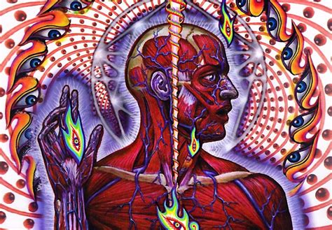Lateralus By Tool Review The Stampede