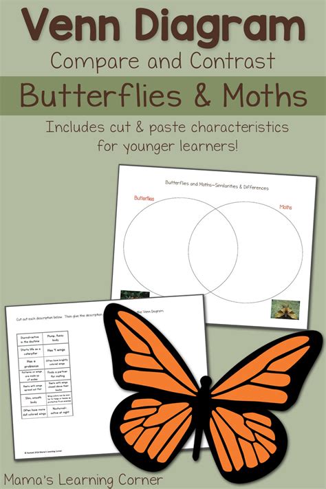 Moths and Butterflies Venn Diagram Worksheet - Mamas Learning Corner