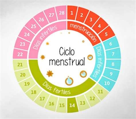 El Ciclo Menstrual Conócete