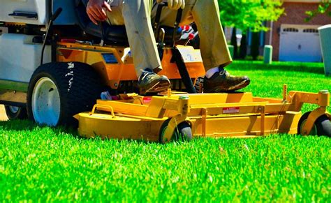 Lawn Care Services And Landscaping Company South Fl Pink And Green