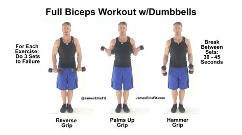 Complete Biceps Workout Using Dumbbells Youtube