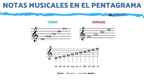 Cuales Son Las Principales Notas Musicales 60 Símbolos Y Signos Que