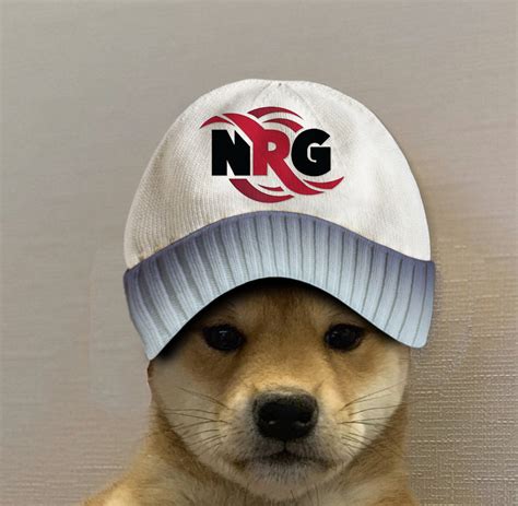 Can Someone Photoshop This Nrg Esports Logo Onto This Dog