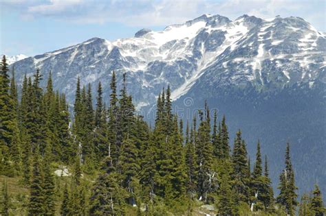 Whistler Landscape With Forest And Mountains British Columbia Stock