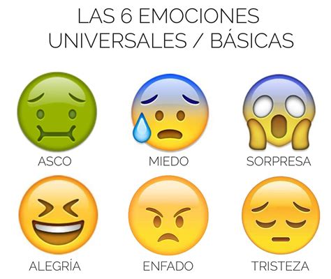Ejemplos De Emociones Basicas Images And Photos Finder