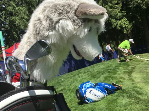 Lpga Tour Players Have The Best Golf Club Headcovers For The Win