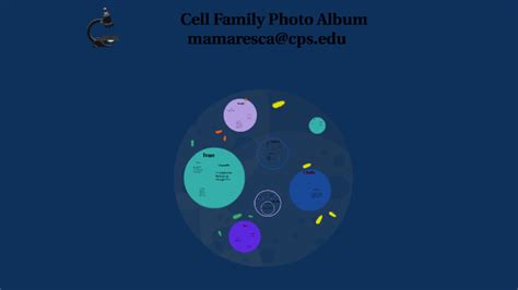 Animal cell therapies, inc., san diego, california. Cell Family Photo Album by Tania Ruiz on Prezi