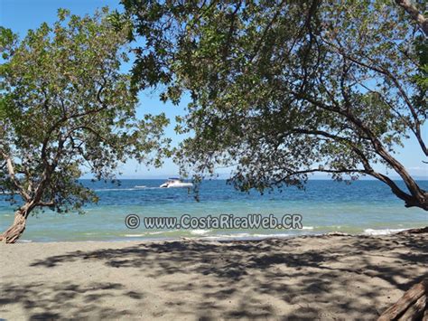 Matapalo Beach In Guanacaste Costa Rica Tourist Information