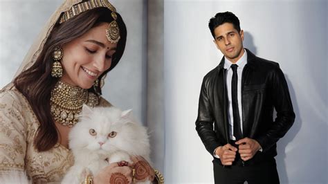 Sidharth Malhotra Wishes To Steal Ex Gf Alia Bhatts Cat Hints On