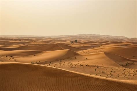 Panoramic View Of The Sand Dunes In The Desert Sahara Free Image Download