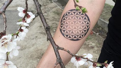 Best Circle Of Life Tattoo Ideas You Ll Have To See To Believe