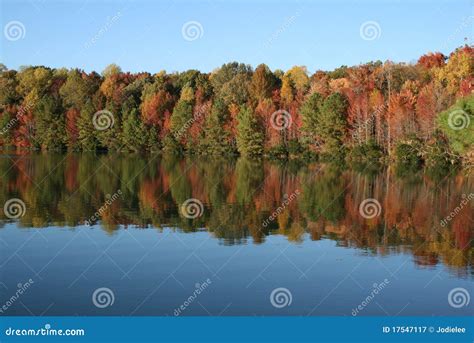 Autumn Trees Reflected In Blue Lake In Fall Stock Image Image Of
