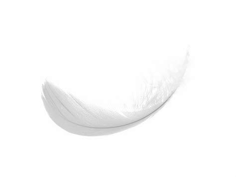 White Feather Png Image Png Arts