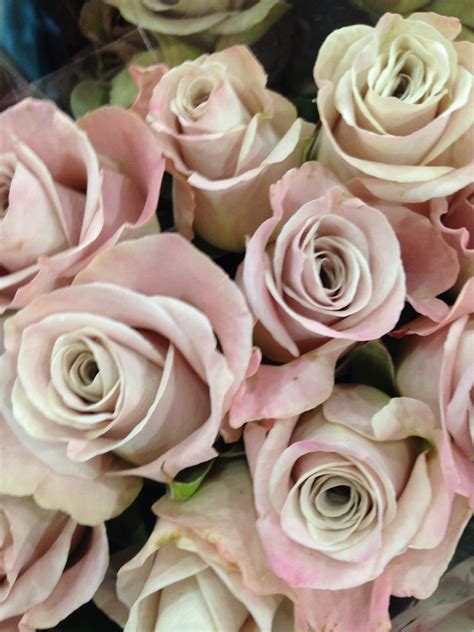 Quicksand Roses Dusky Pink Weddings Pastel Bridal Bouquet Rose